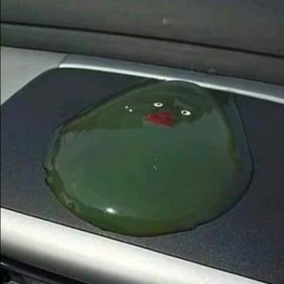 Meet your Posher, Sarah - Picture 1 of 1